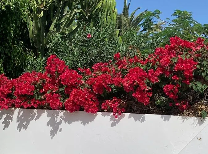 Lovely Nico Playa Blanca, Hot Tub, Communal Pool فيلة بلايا بلانكا